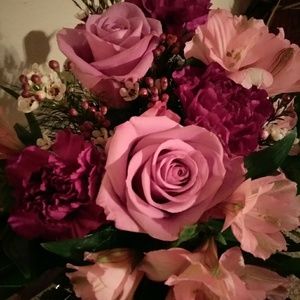 Meet your Posher, Katherine